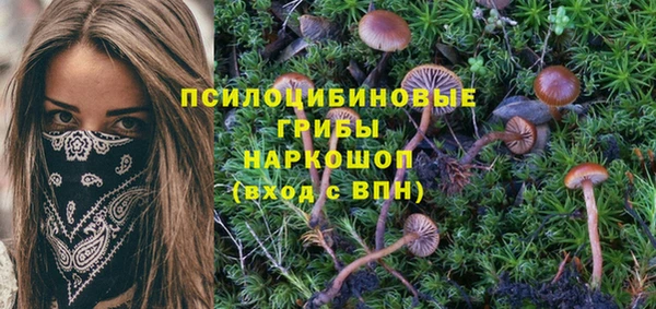 MDMA Premium VHQ Краснослободск