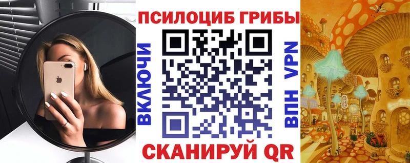 Псилоцибиновые грибы ЛСД  Купить закладки  Пушкино 